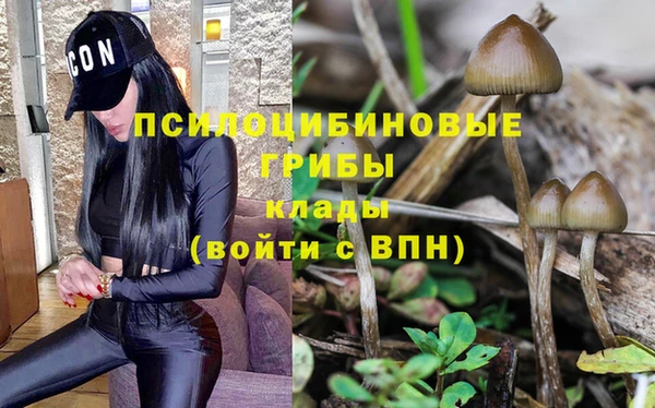 мескалин Володарск