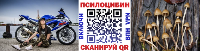 Псилоцибиновые грибы прущие грибы  Курильск 